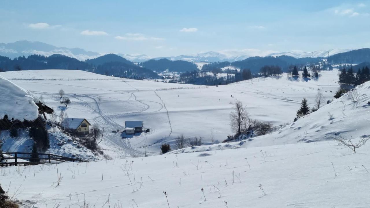 Pensiunea Crai Nou Şirnea Zewnętrze zdjęcie