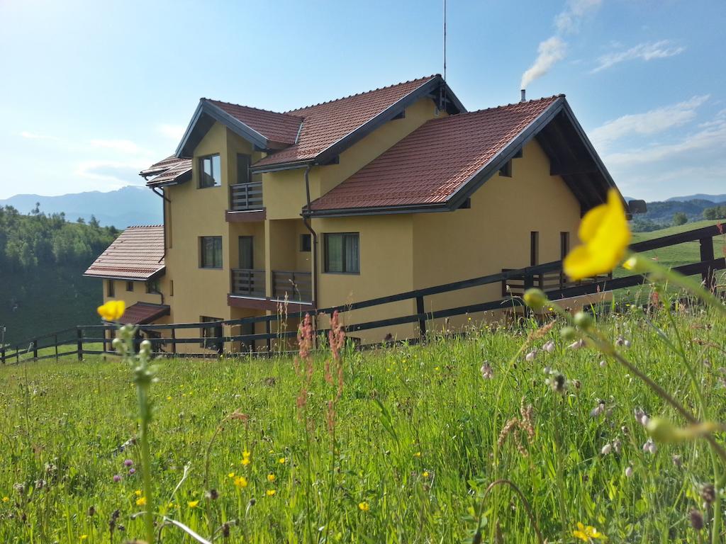 Pensiunea Crai Nou Şirnea Zewnętrze zdjęcie